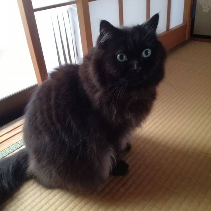 42a758db cf12 4ca7 a1e1 08d92db97f88 1536242266433