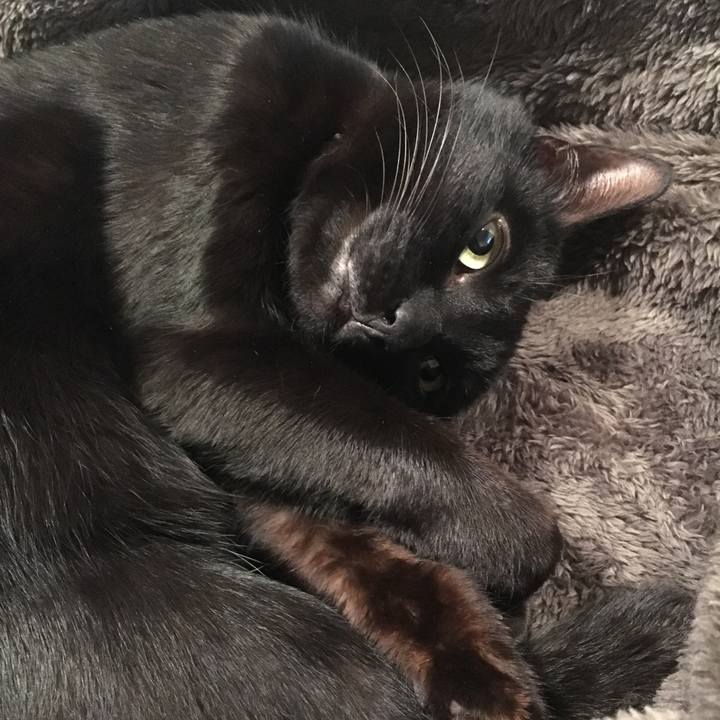 42a76b5c b76d 4755 8ef0 6aae18f32f24 1549373828051