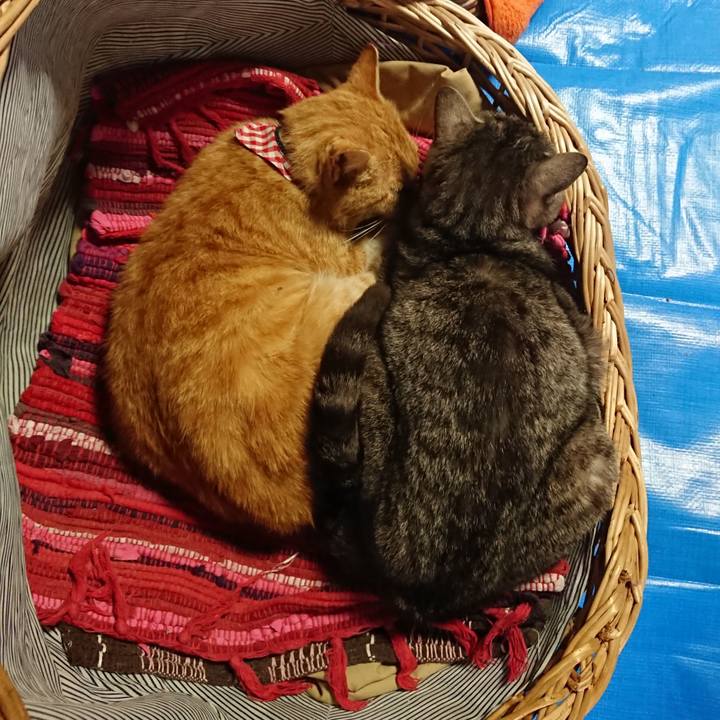 42a7cf6b c7af 4bd2 a7eb e44ea4c477bc 1558218252198