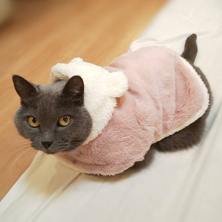 42a7d9eb ee55 41df 9a21 6c58d60f993e 1760953991815