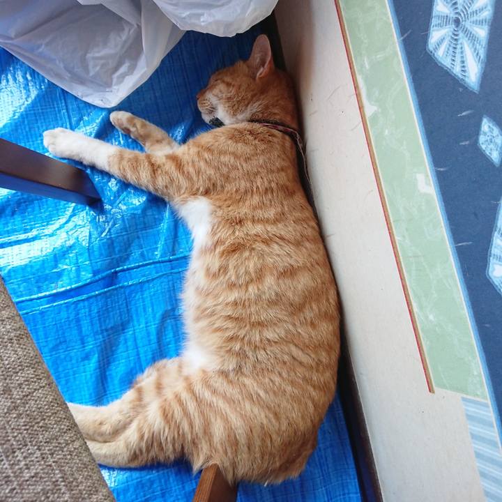 42a80f90 8124 49ad 9dc6 9b8ab119467e 1567832087544