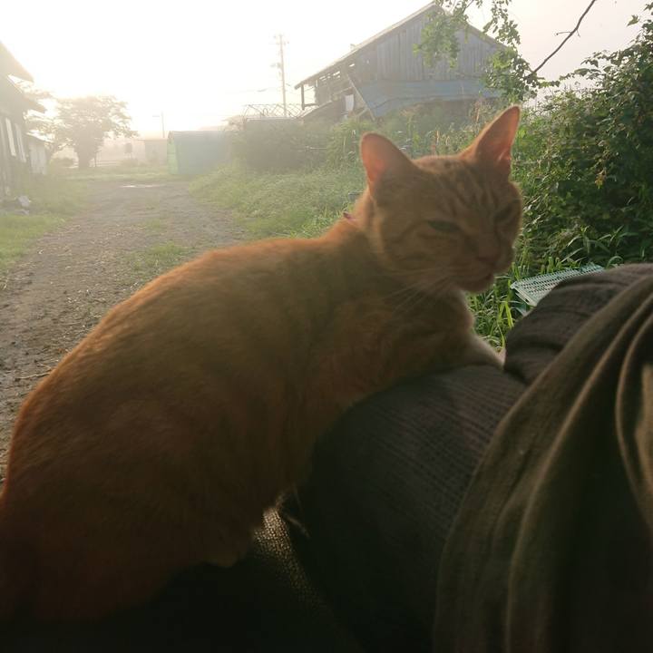 42a81219 426a 4315 934f f1874fde2f80 1597784410935