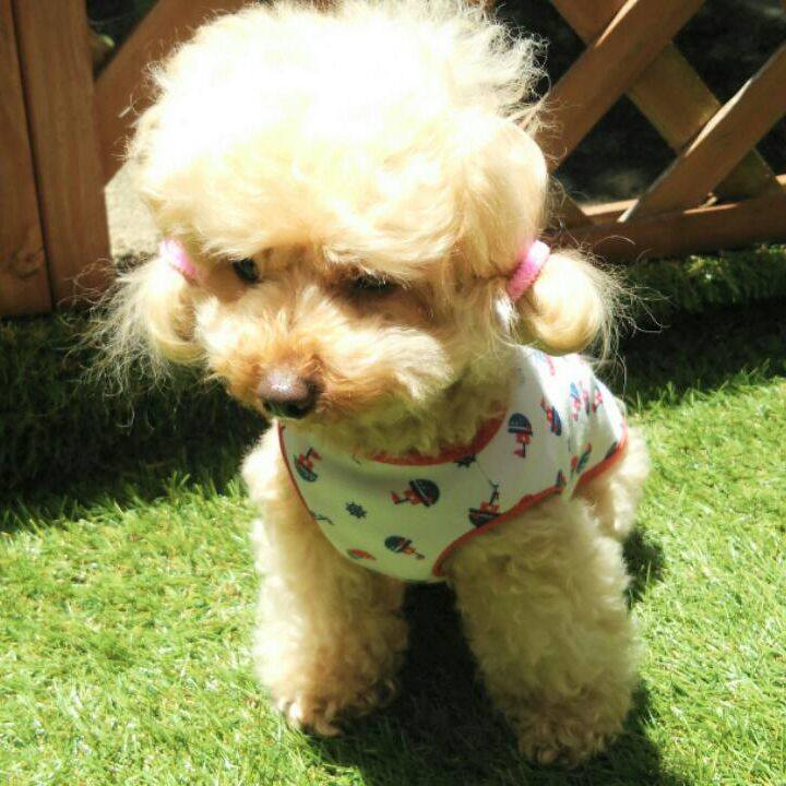 42a812e9 376b 441b bae2 23e700d2b727 1528966399655