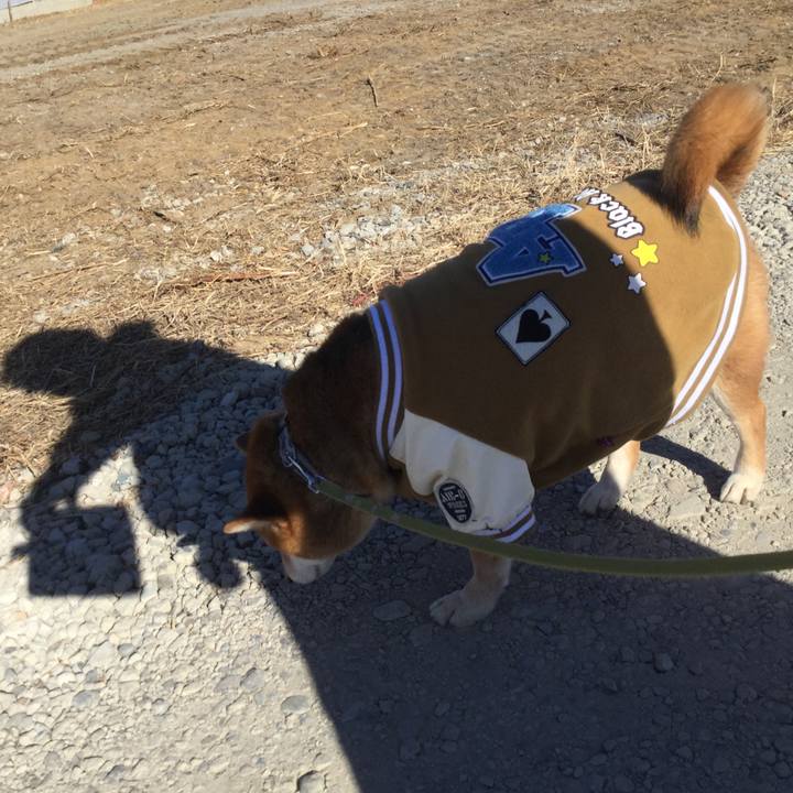 42a81d47 a1b4 4f35 aca0 11c83f266bbf 1611026631061