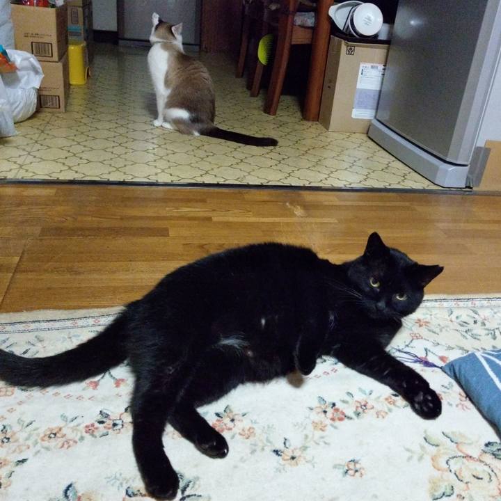 42a81dca e0dd 436c ae6e d859f5a6d9a3 1623673064197