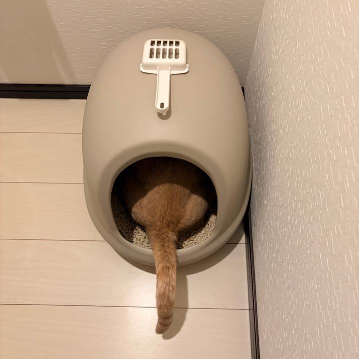 42a825a5 7fa6 4239 9cd2 670ef9787150 1772062378107