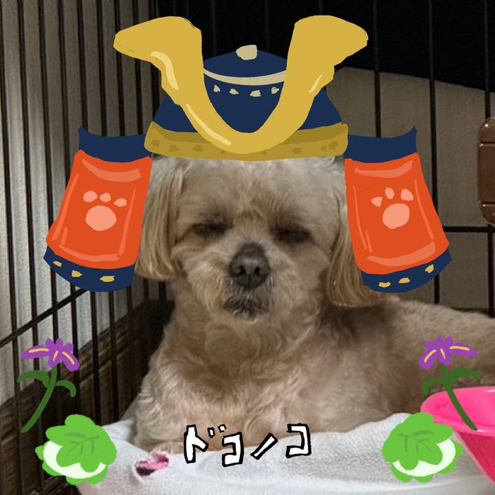 42a83d00 3ddc 4b33 a0fb cc0364fbea5f 1714914282376