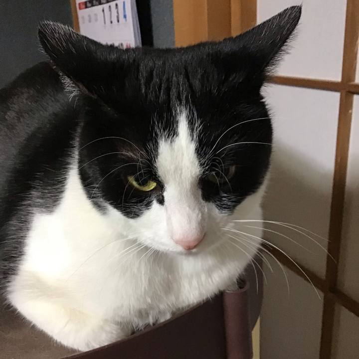 42a87f40 7595 4c74 b285 b64fa271ac61 1675338417249