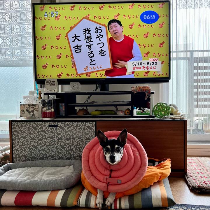 42a8914e 4e3e 4bdc 868a f384005b1b63 1652652759813