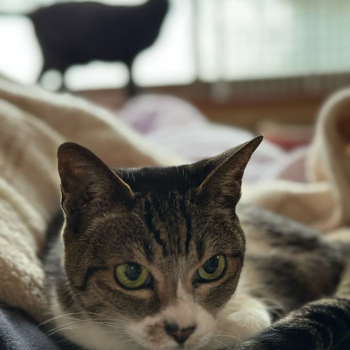 42a89b05 17ea 4f39 8e6b 2a3b92ca9e7c 1676254039039