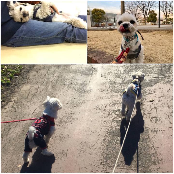 42a8a23b 5bbb 4c59 acf1 6e1825acf1f0 1518691140151