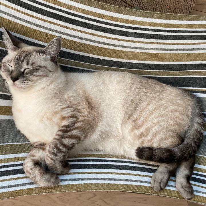 42a91587 bce2 4e70 8530 a626208b8598 1597823296581