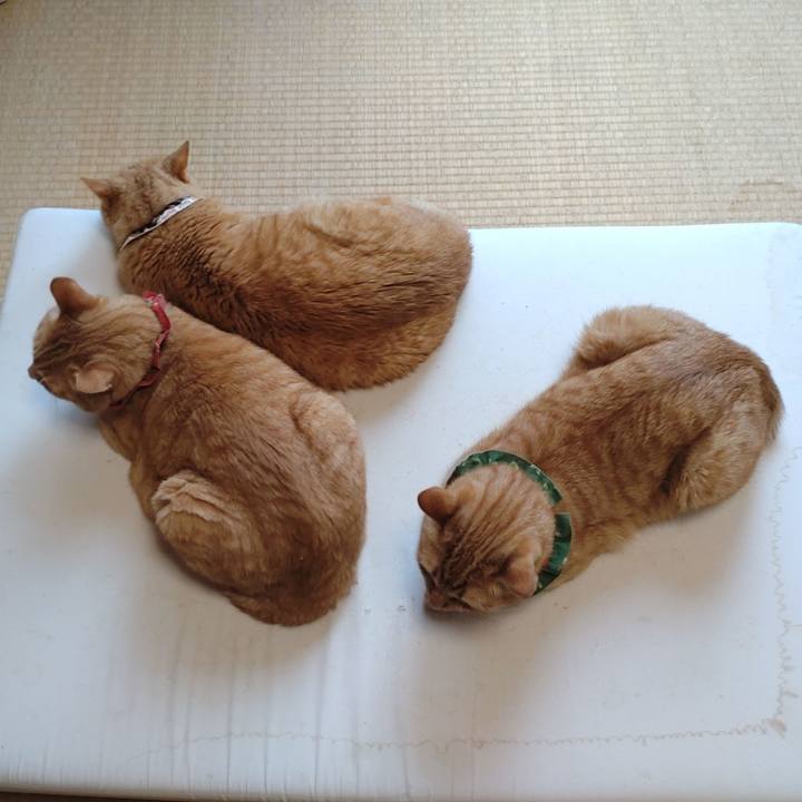 42a92669 2cf1 4be3 82cd 90b35317e9d7 1657947331182