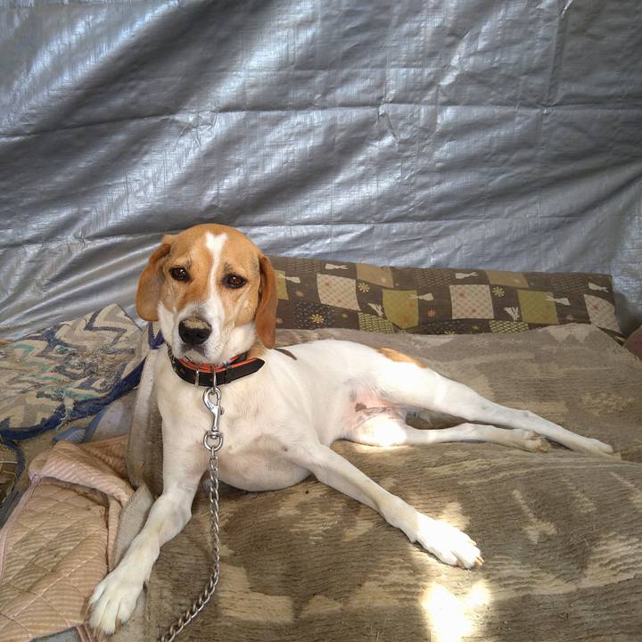 42a93e90 9197 45fb 8333 1798e960d0e2 1626335791785