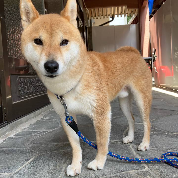 42a97ead e886 4551 8950 31e5af61870b 1649559774562