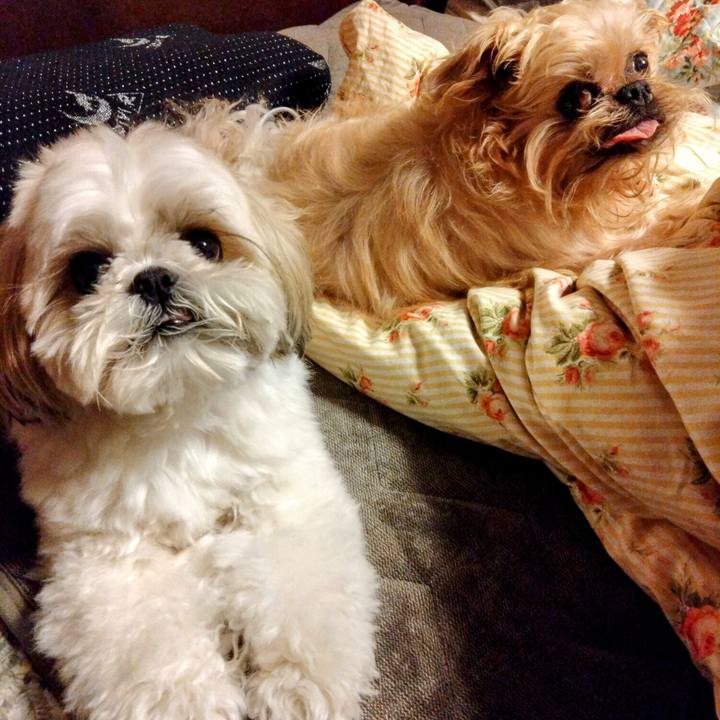 42a97f51 55f4 4b69 814f f3d5018aca94 1680361197282