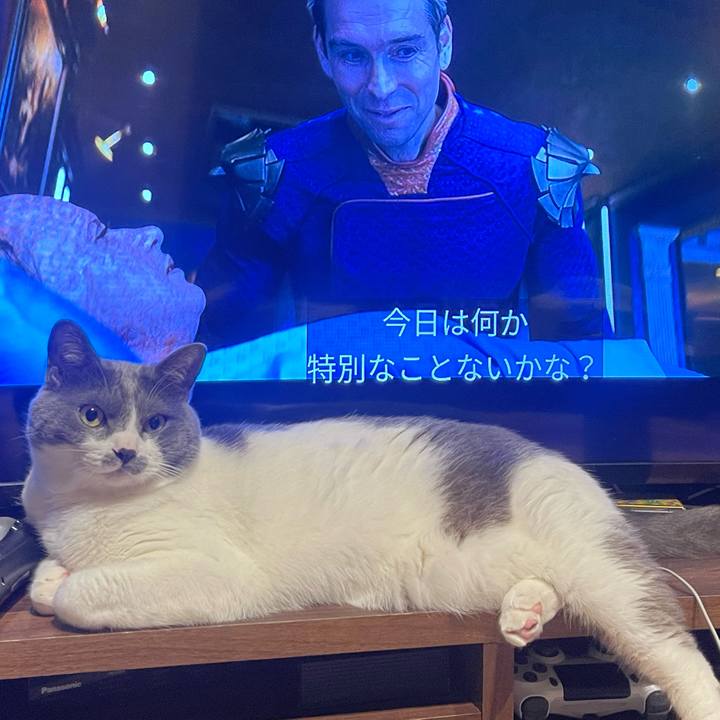 42a9bb41 5d15 4bc9 99ac 0c51587de18b 1654523089040