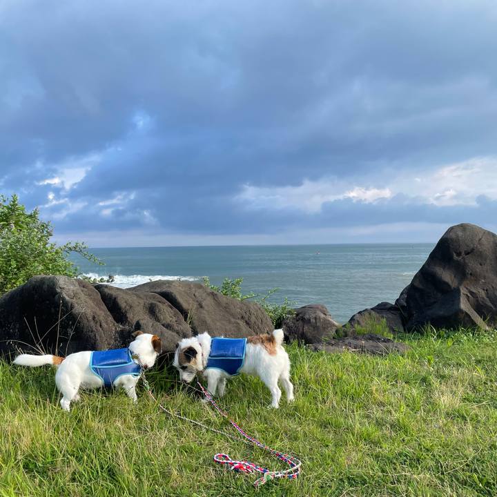 42a9e3d6 c67b 4b85 8a04 fc36a41541ef 1722812123972