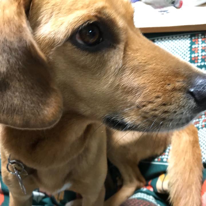 42a9f43d c5a3 49a6 8512 b14e5b59d94e 1515336217021