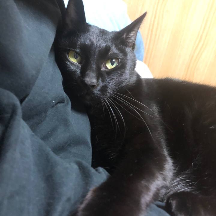 42a9ff0d 4851 4383 9eac 94e909607786 1703843902883