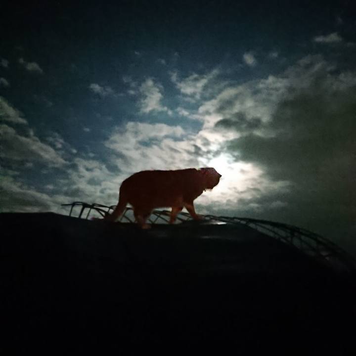 42aa9575 3136 4d99 b82f 231781e22f78 1601547876492