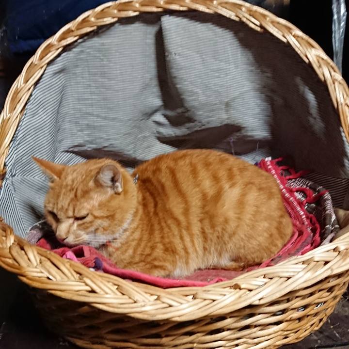 42aab5da 0785 4e58 8eca 3342945635de 1569528856140