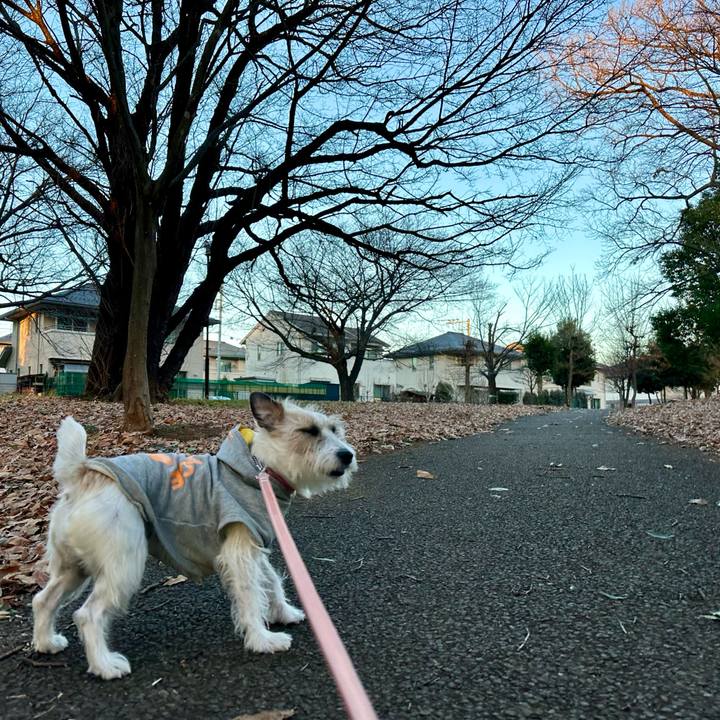 42aac40b e0a8 4d9a b9e6 487e5d25da6a 1706216248686