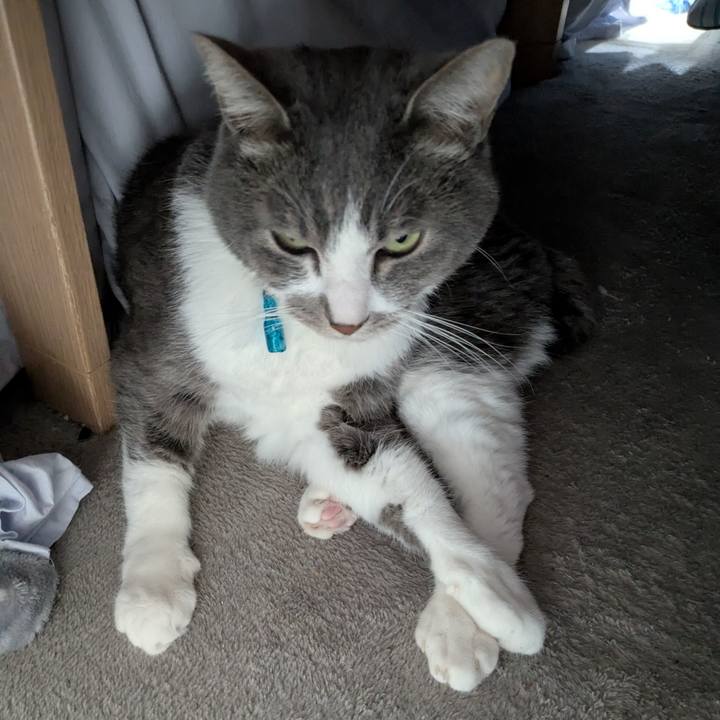 42aac999 dd3d 4d82 90ba 7d78b43cefa6 1766629653706