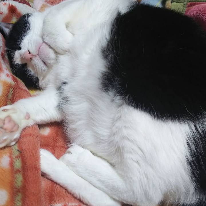 42aad101 c97f 4a41 8510 7e51ab71fae0 1573372181961