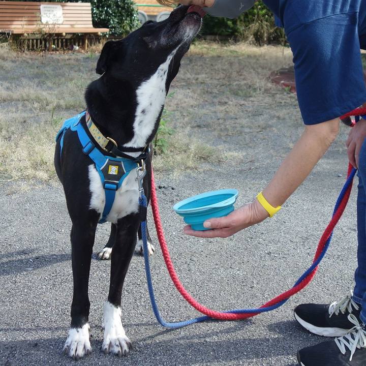 42aad547 b4ca 46b9 98f0 a4e4468f40a9 1631061769181