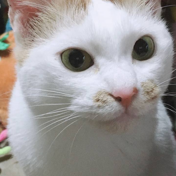 42aaf03a 0f6d 458d b53a c0af4b9be79e 1574777295391