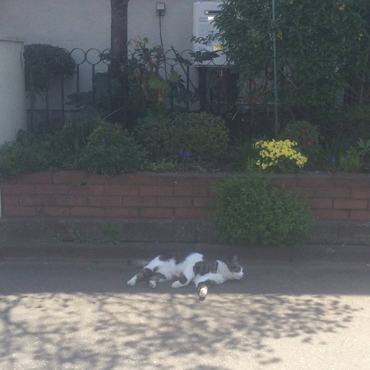 42ab1338 61bd 49e1 9aae 69a66bbf442a 1555569927185