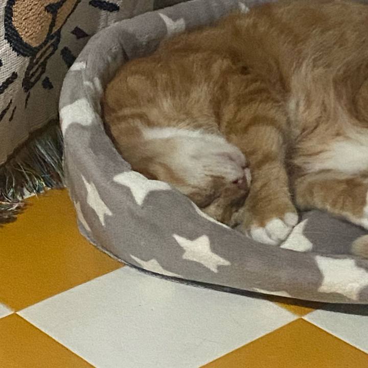 42ab3b2b 3187 4001 8e92 56b9d079b669 1719242486930