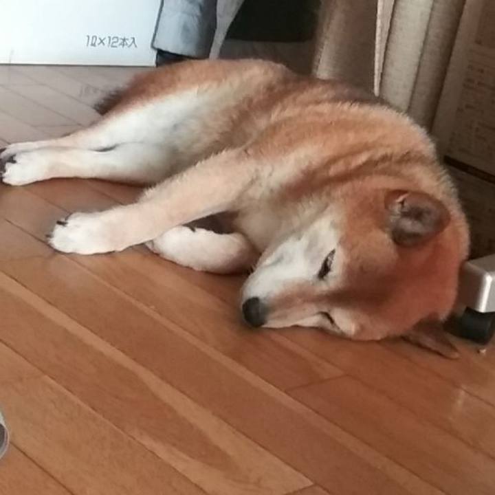 42ab4376 6886 4505 b4b2 6f138e1d516f 1623396504233