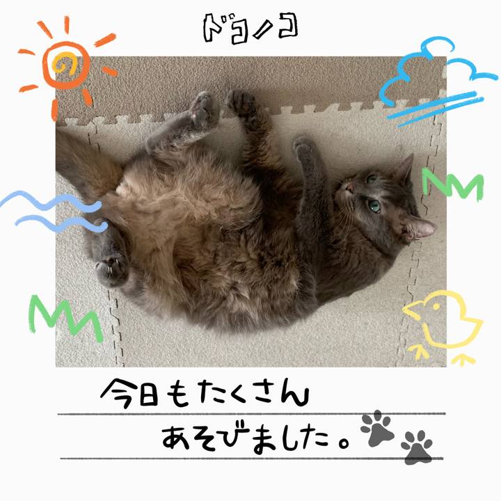 42ab54e0 c294 4347 b5f0 cfffcd92733f 1755085812853