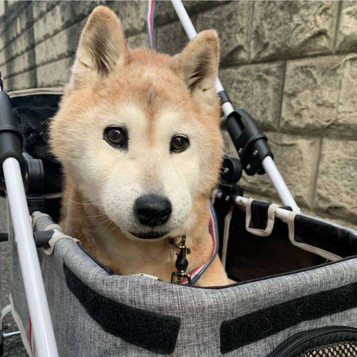 42ab61ea 8c8e 4cde a0e9 51ea27fd6a3c 1700568840134