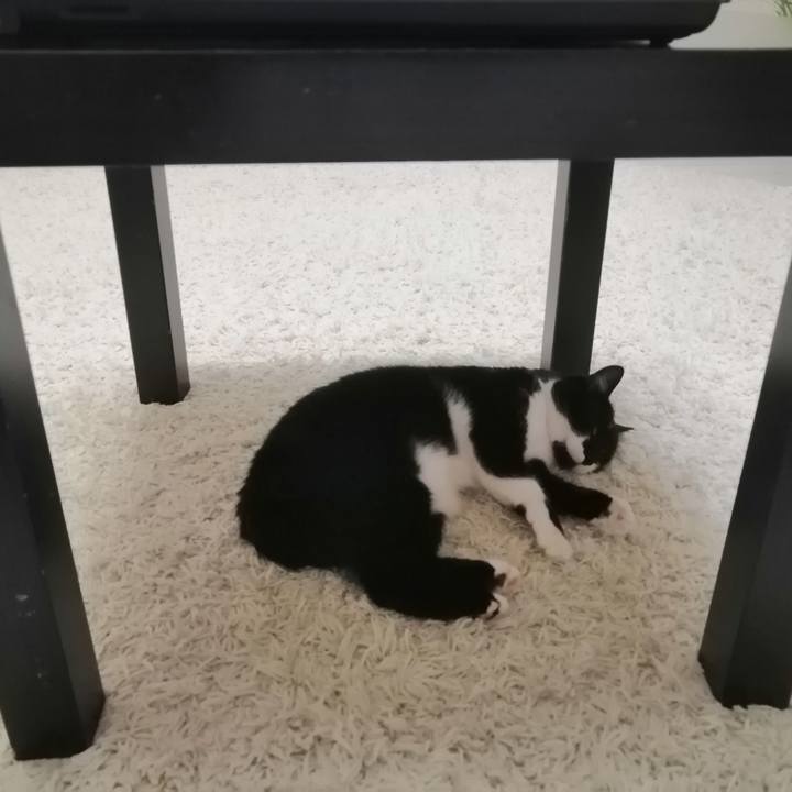 42ab9e17 3de3 49d6 9d36 1233ebd95513 1625596290815