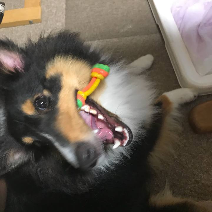 42abfab9 7ac3 4c2c a61f b8a7a272daca 1536098293386