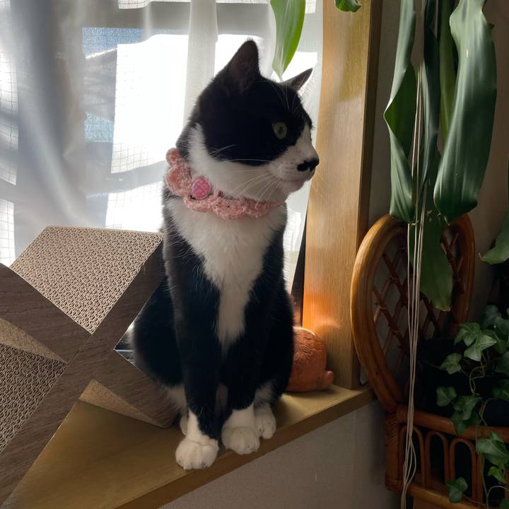 42ac019a 705d 4a71 b804 ee21c0caa9ce 1667354906170