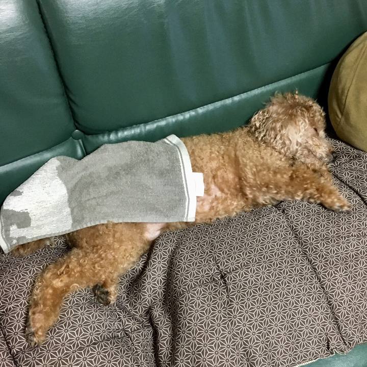 42ac16b8 f32a 4cca 9645 549098910b6b 1533208540624