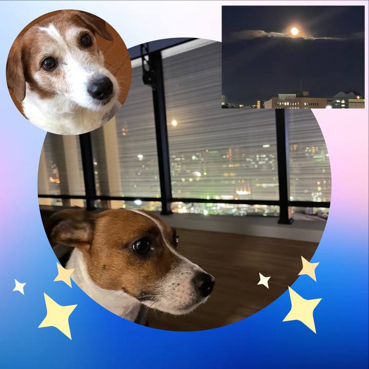 42ac28c6 7f27 415b 82e8 c9491c0efa8d 1642495957381