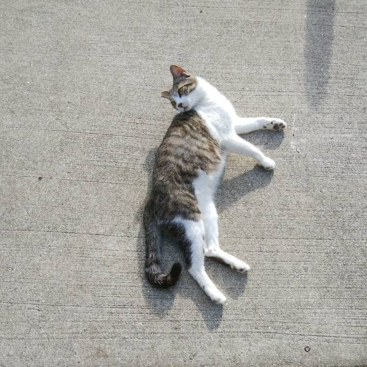 42ac2b92 8fc2 4448 8a7d ebf2e7e8f465 1528848327766