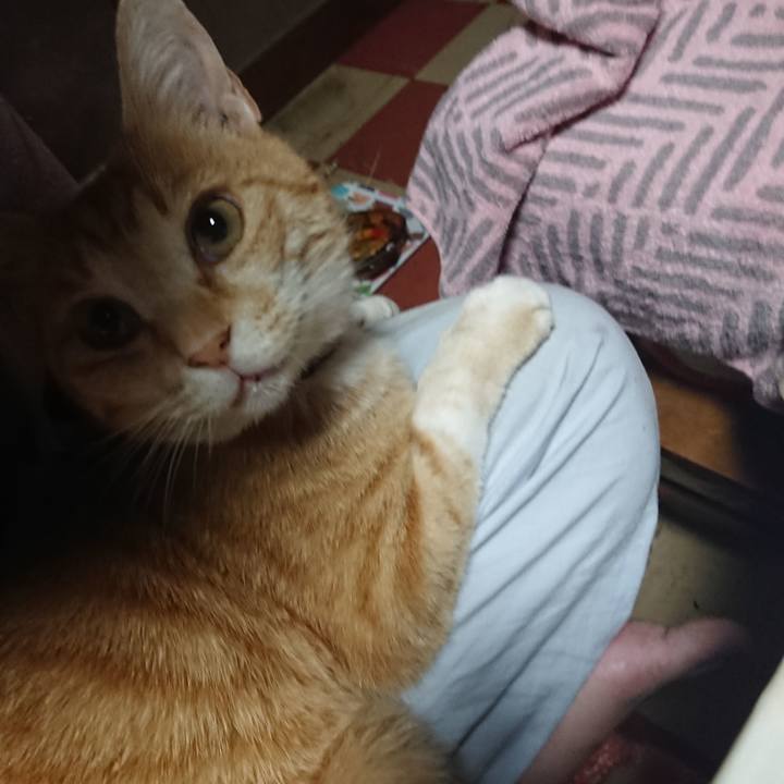 42ac391a e69d 4934 a9e7 cd0eb1bbfddc 1589920302010