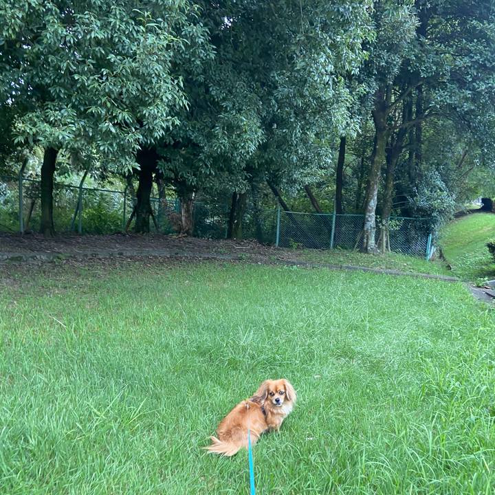 42ac7baa 0cec 4eae b4f3 825ad64f2781 1600558524553