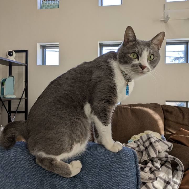 42ac8611 8043 4e13 8239 d4c05c662834 1763533091104