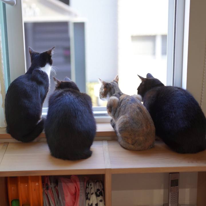 42ad087c 847a 4515 aa1a 1a73c14c28f5 1577436168850