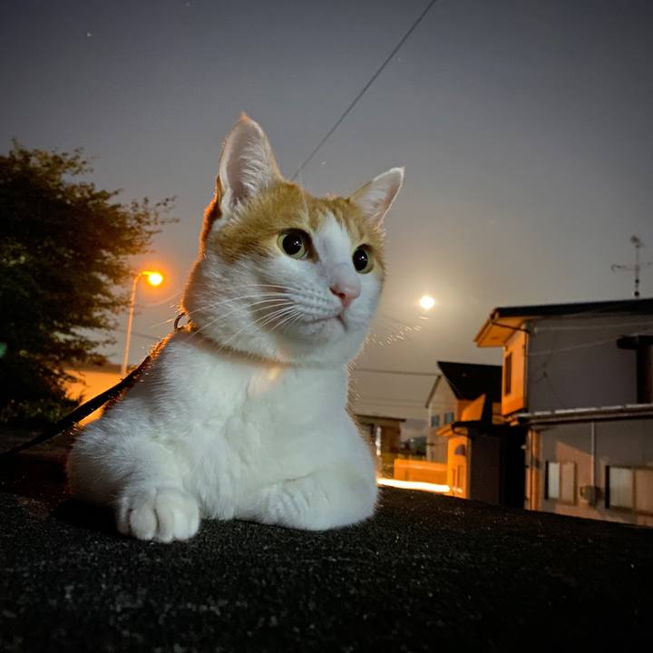 42ad1648 7561 439d b0d8 b47674955d22 1601642057532