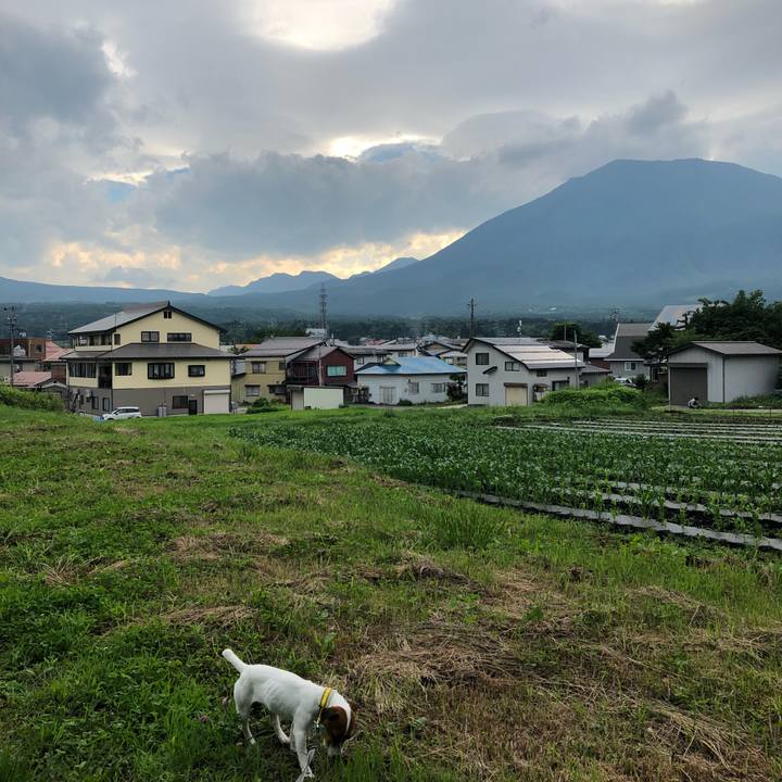 42ad4bd9 a9a6 45d1 8d5c a820bf49f0bc 1530175088145