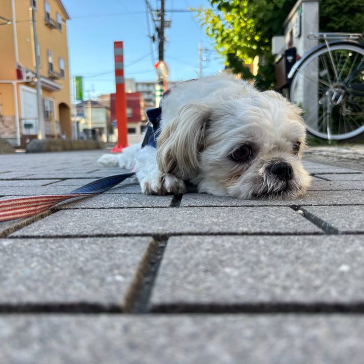 42ad5cda fa8f 43e7 af77 47fc295d784a 1753133812394