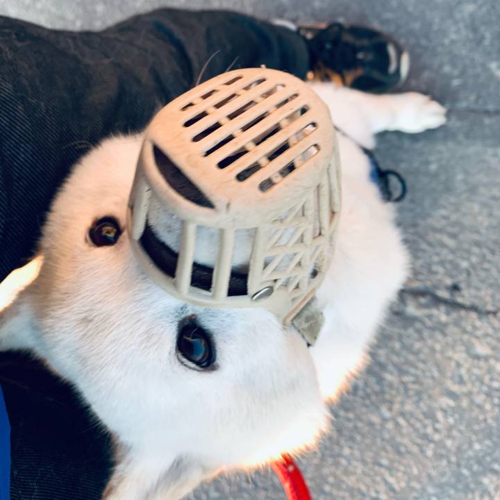 42adc652 35e2 4e2d 8e71 42185bb960af 1652214936156